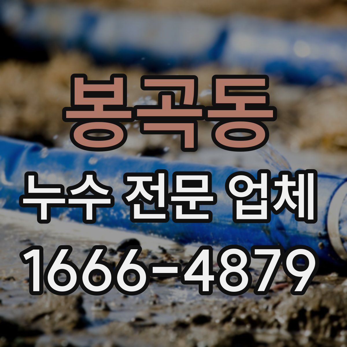 봉곡동 누수 전문 업체