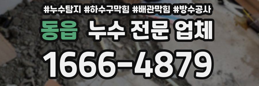 동읍 누수 전문 업체
