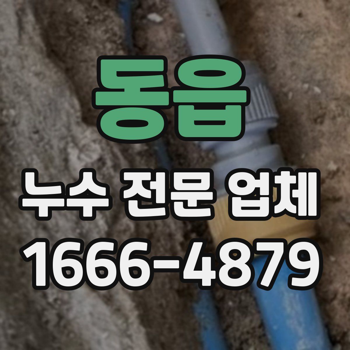동읍 누수 전문 업체
