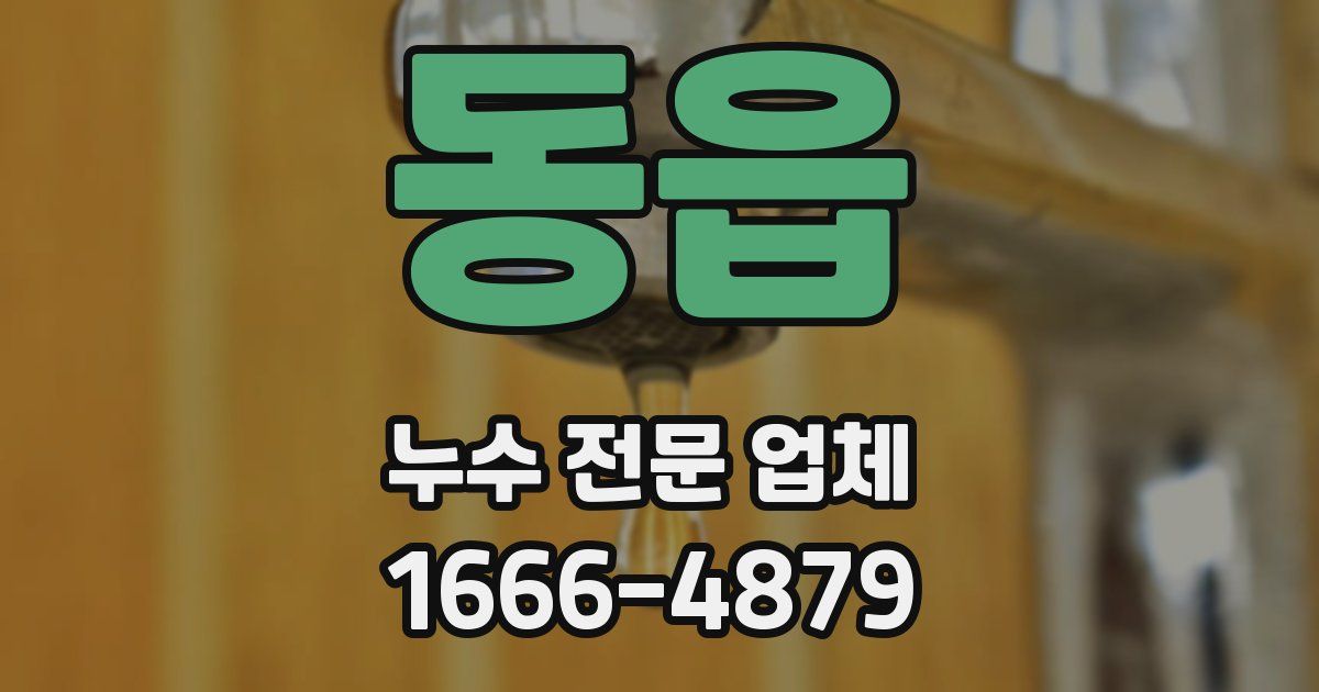동읍 누수 전문 업체