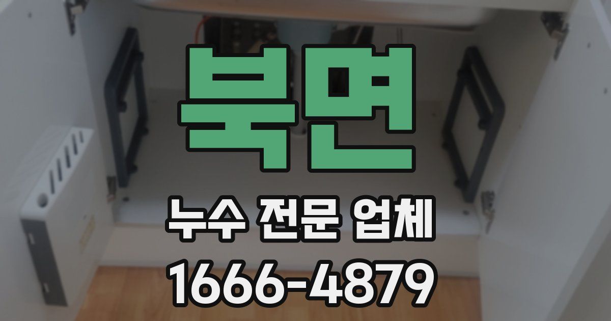북면 누수 전문 업체