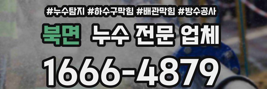 북면 누수 전문 업체