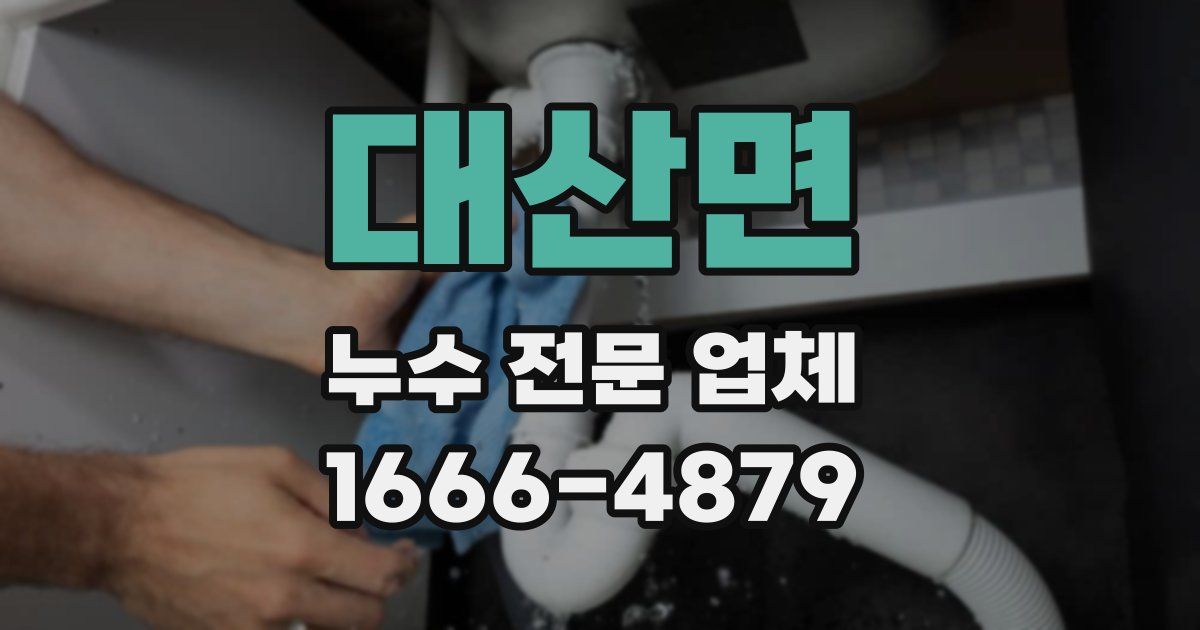 대산면 누수 전문 업체