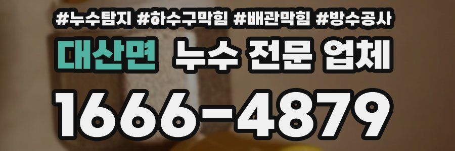 대산면 누수 전문 업체