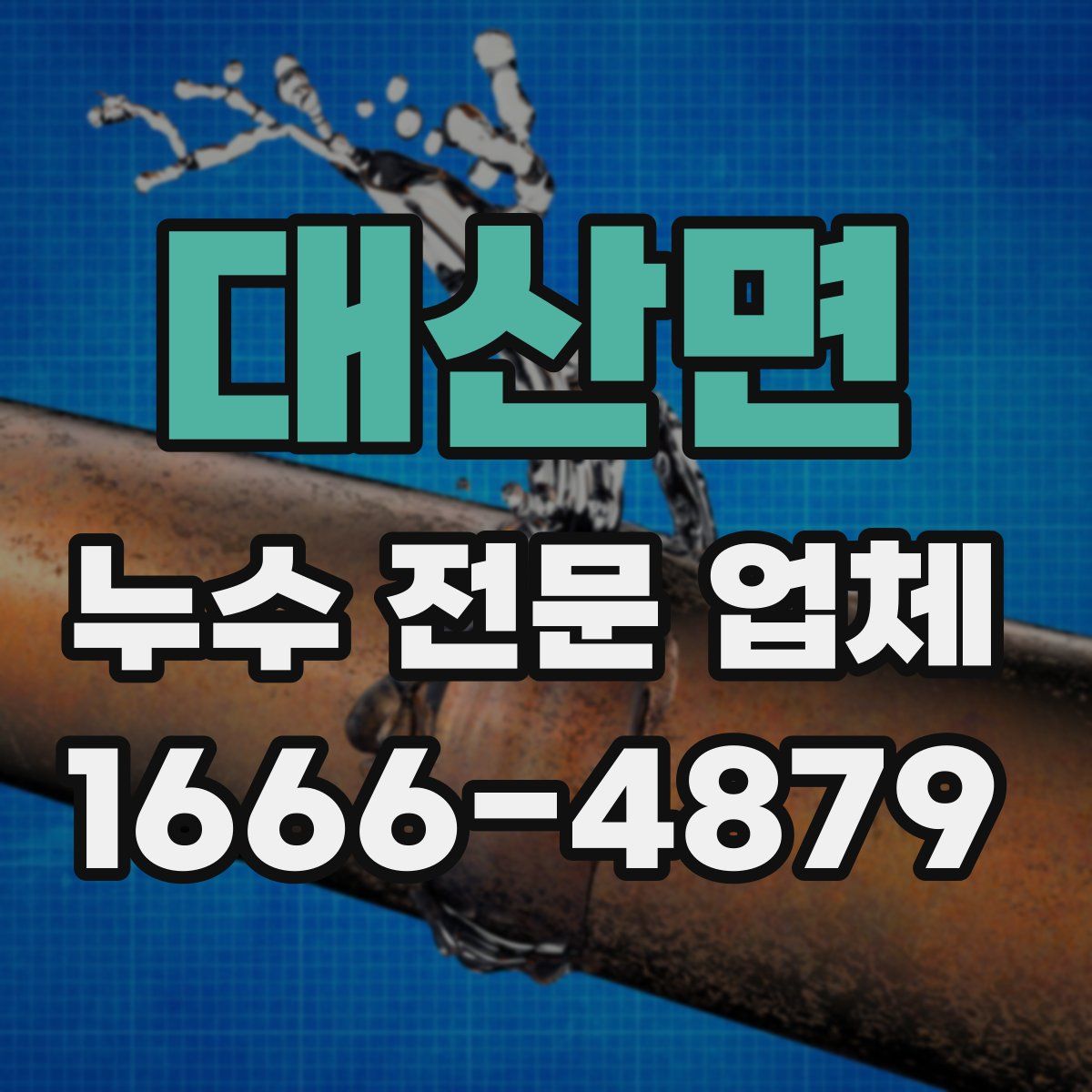 대산면 누수 전문 업체