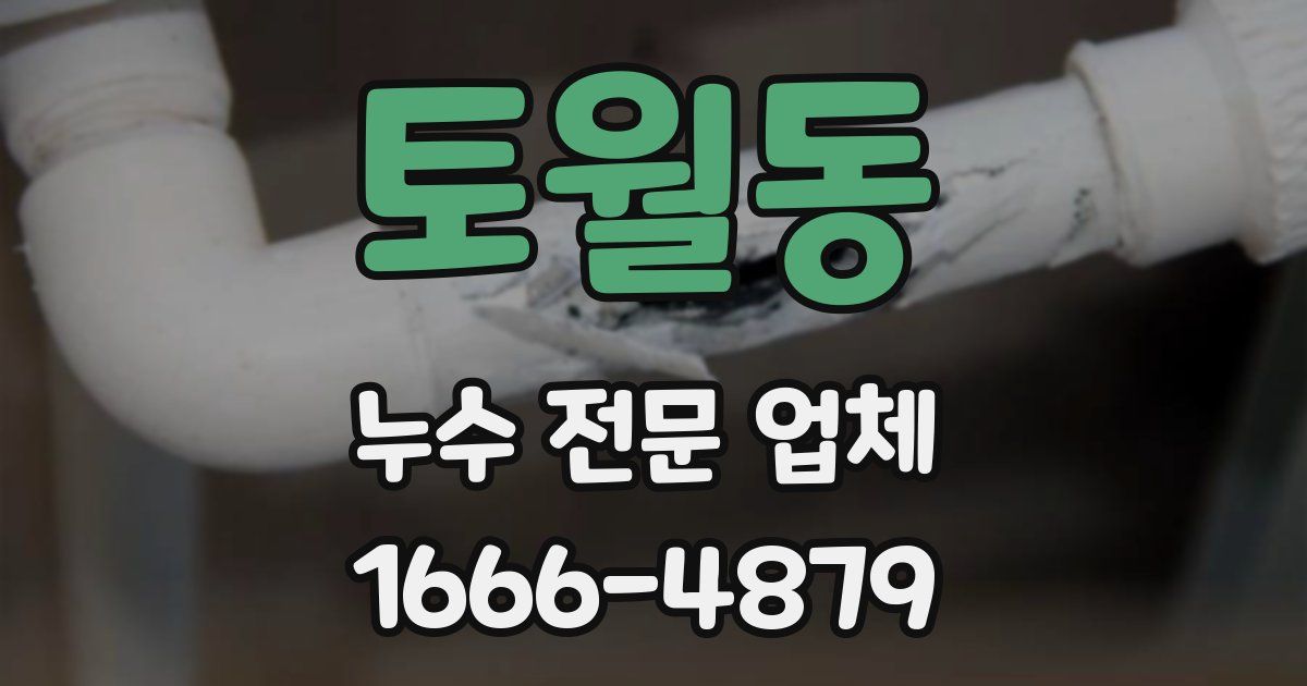 토월동 누수 전문 업체