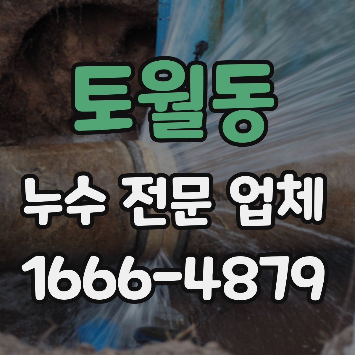 토월동 누수 전문 업체
