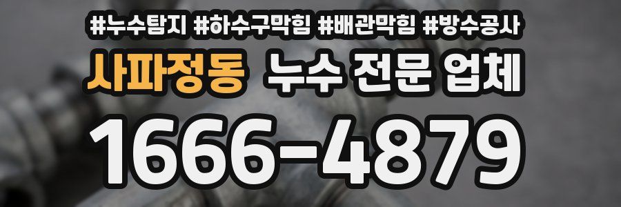 사파정동 누수 전문 업체