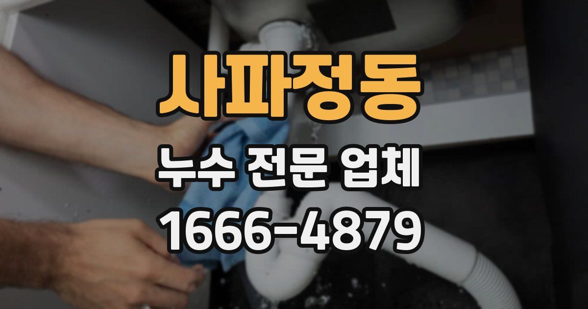 사파정동 누수 전문 업체