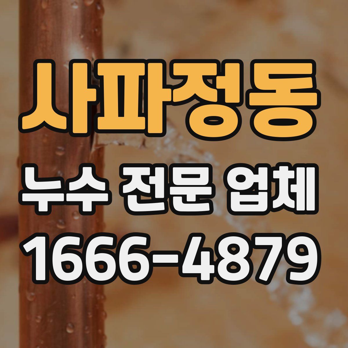 사파정동 누수 전문 업체