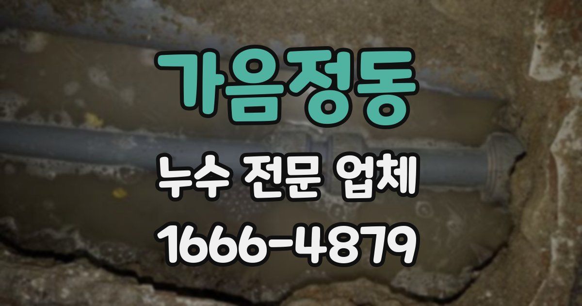 가음정동 누수 전문 업체
