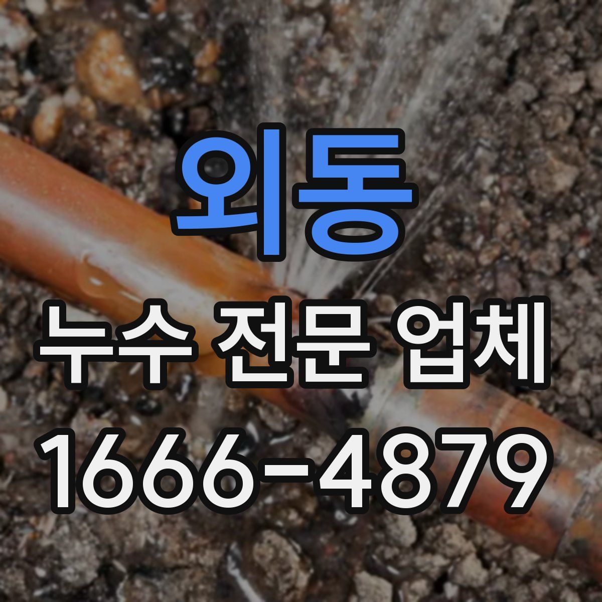 외동 누수 전문 업체