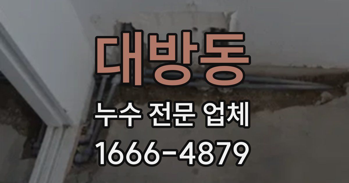 대방동 누수 전문 업체