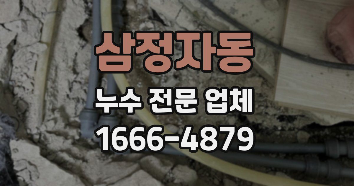 삼정자동 누수 전문 업체