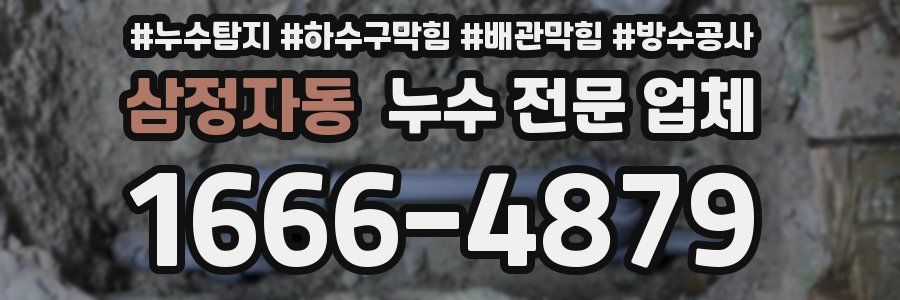 삼정자동 누수 전문 업체