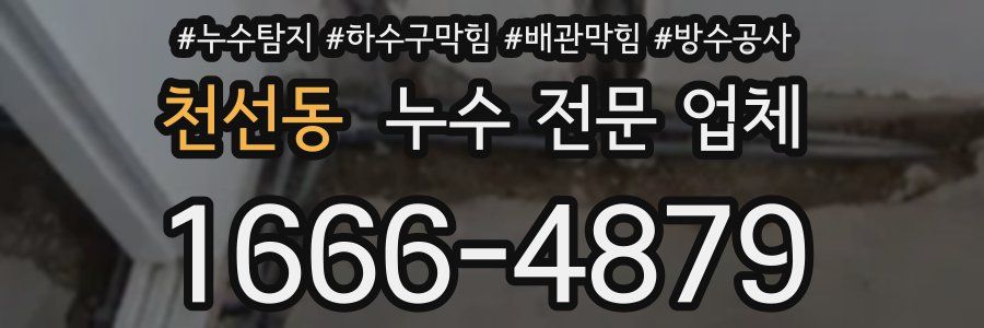 천선동 누수 전문 업체