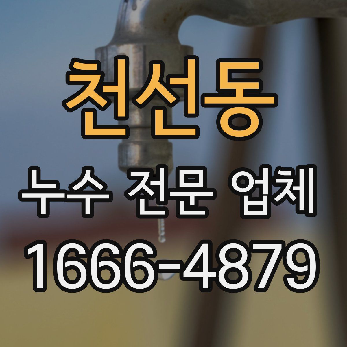 천선동 누수 전문 업체
