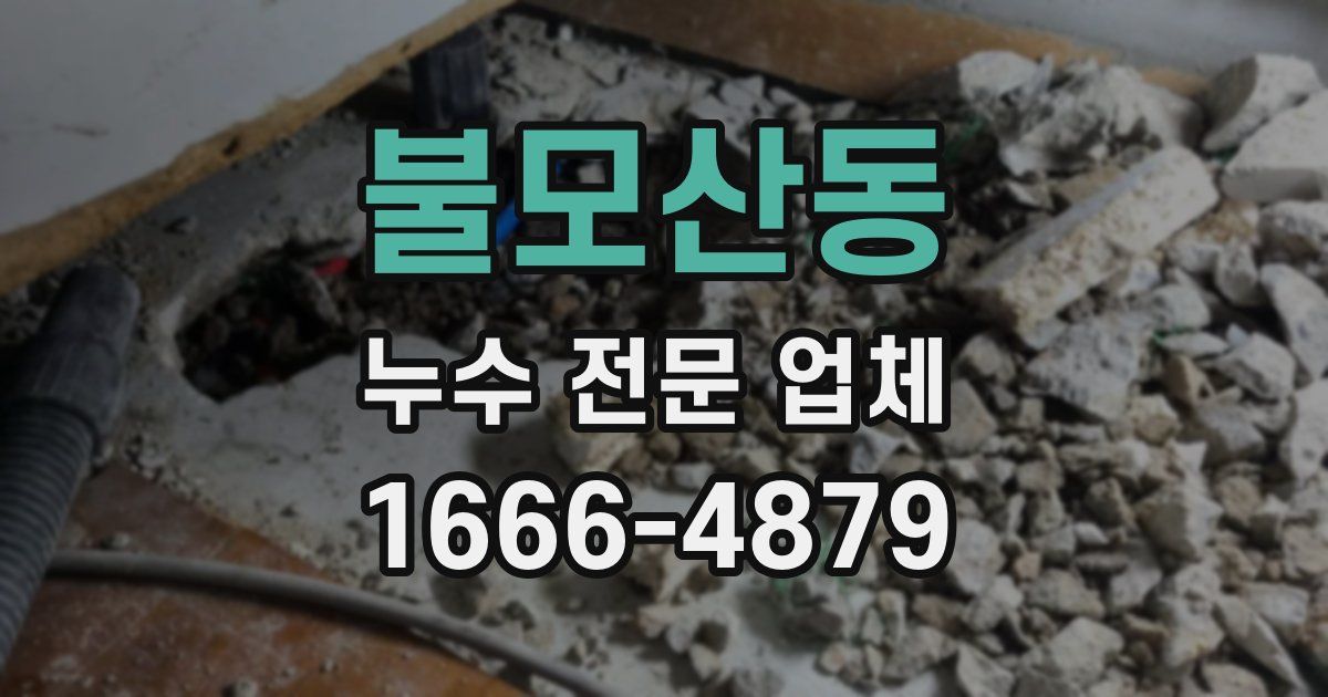 불모산동 누수 전문 업체