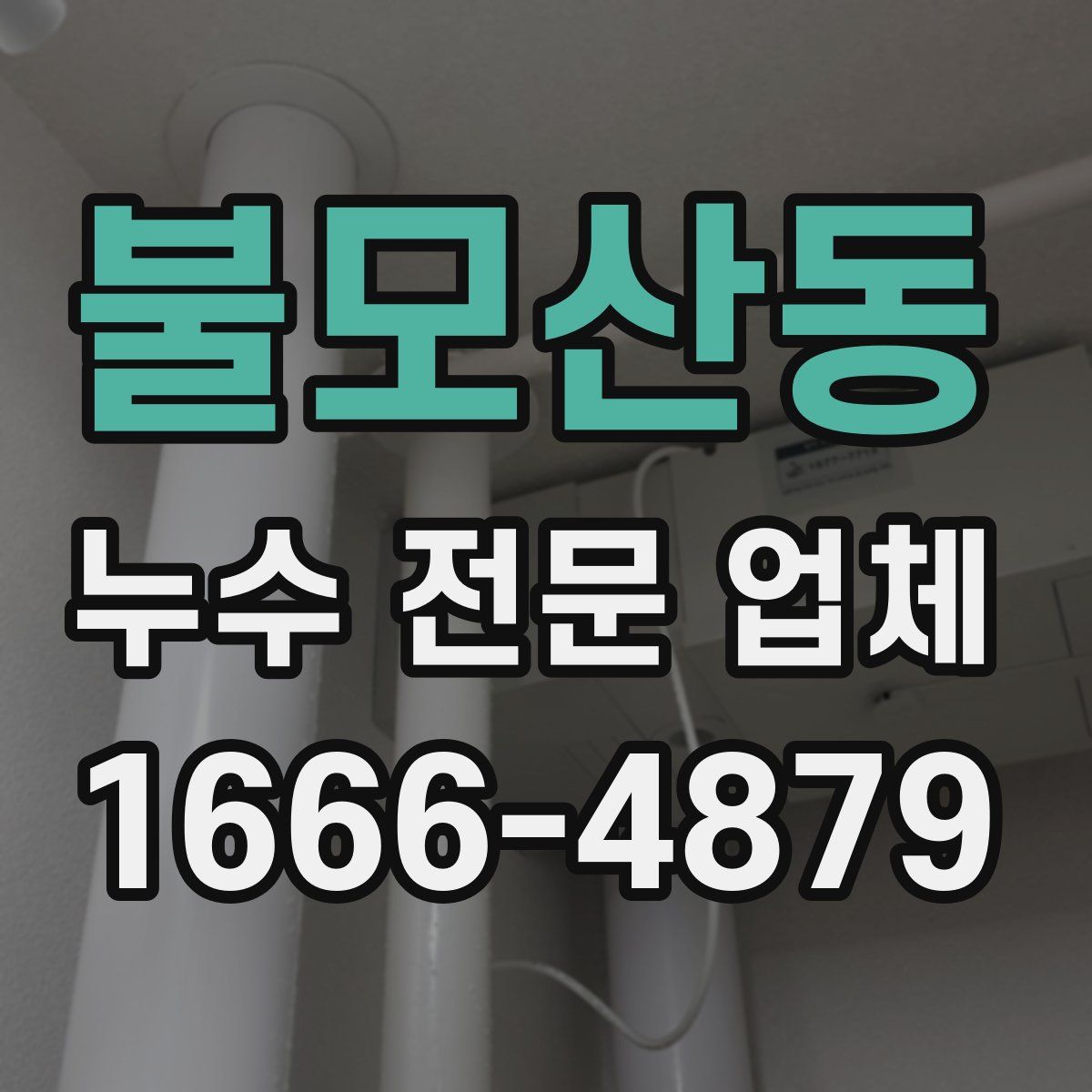 불모산동 누수 전문 업체