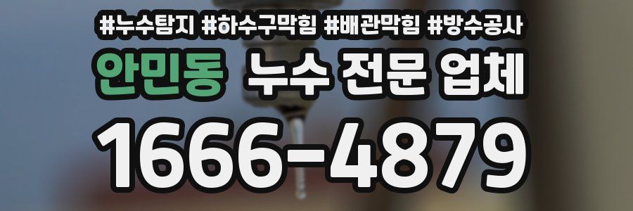 안민동 누수 전문 업체
