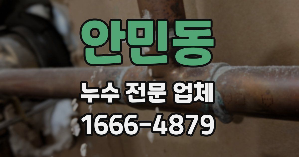 안민동 누수 전문 업체