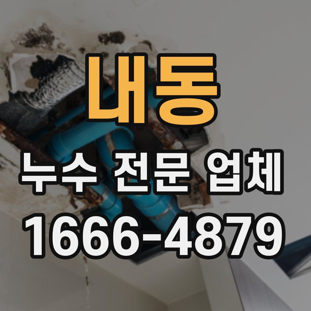 내동 누수 전문 업체
