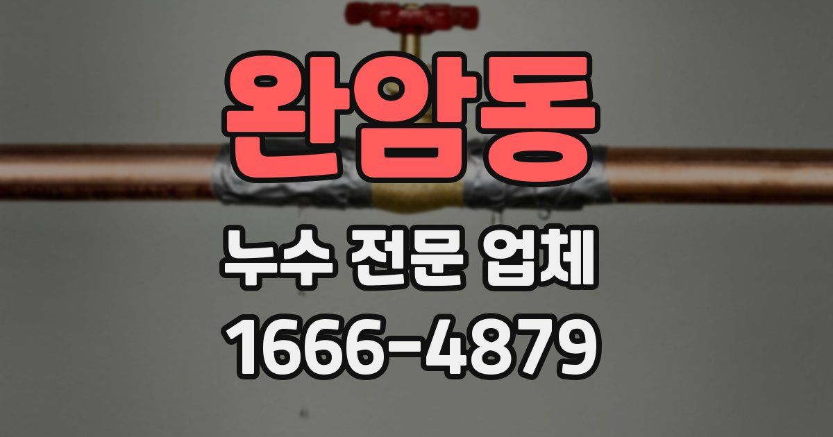 완암동 누수 전문 업체