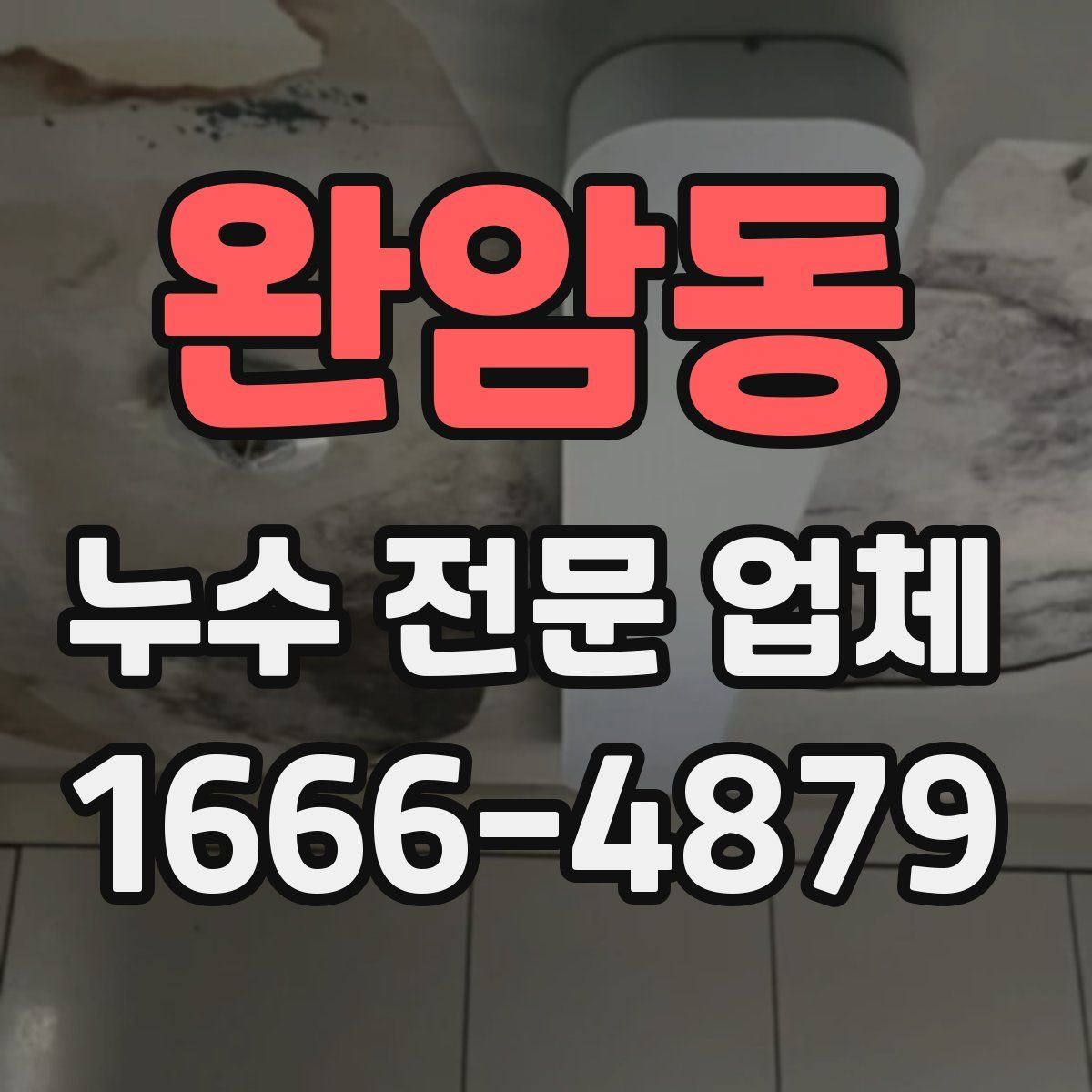 완암동 누수 전문 업체