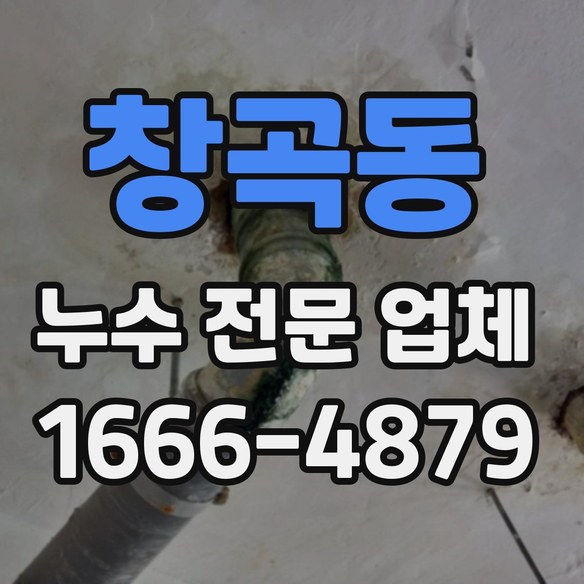 창곡동 누수 전문 업체