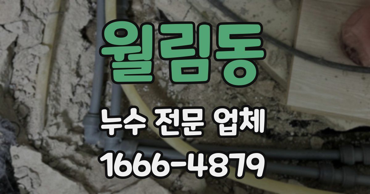 월림동 누수 전문 업체