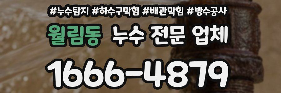 월림동 누수 전문 업체