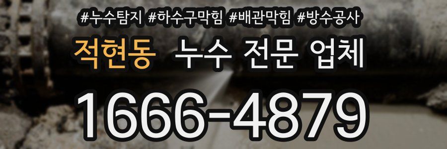 적현동 누수 전문 업체
