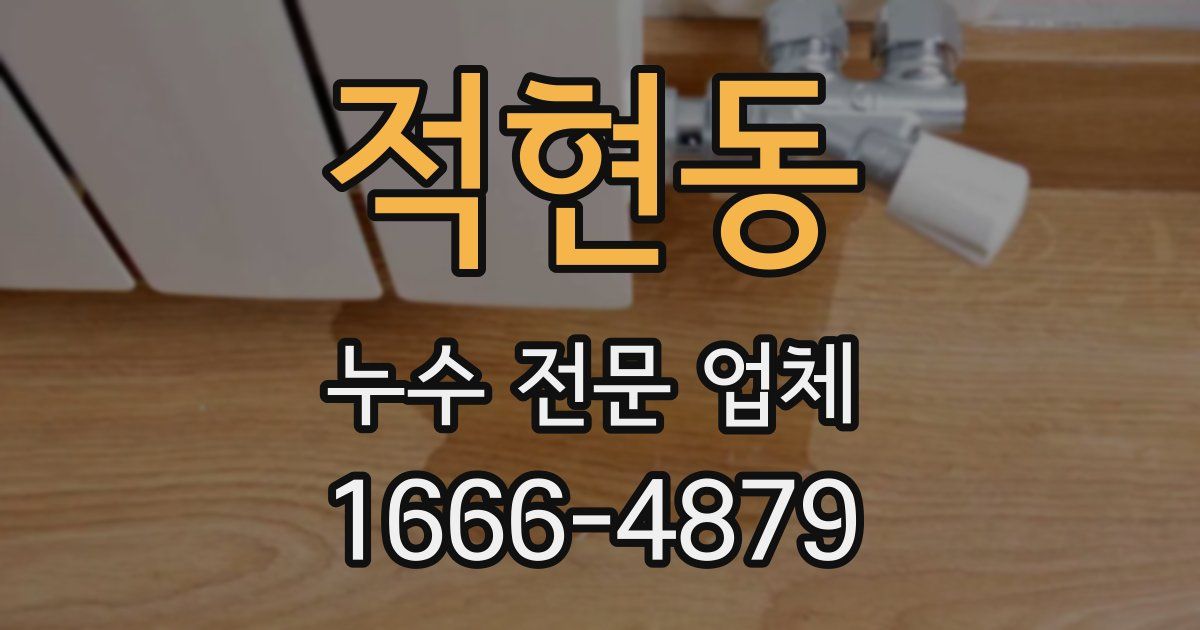 적현동 누수 전문 업체