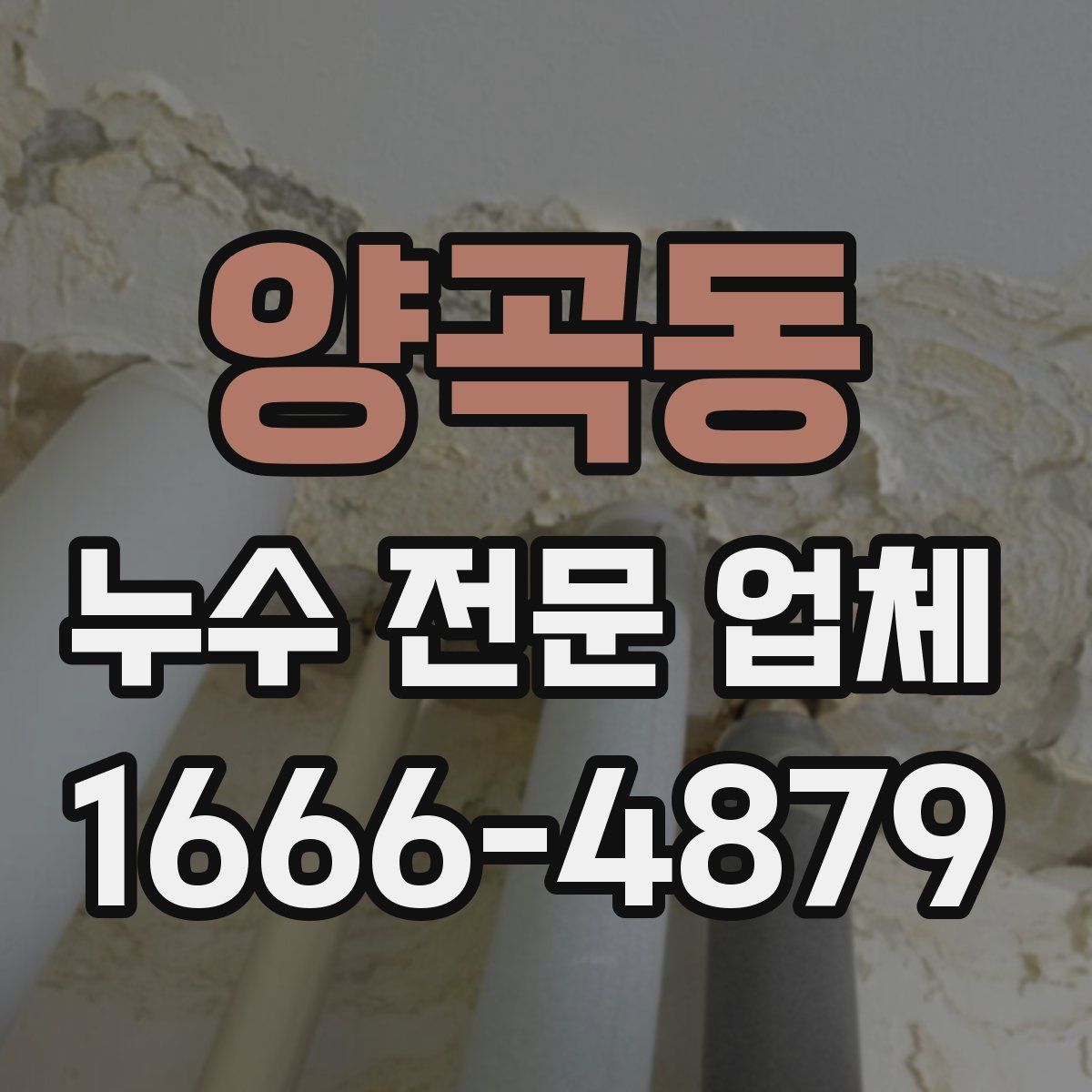 양곡동 누수 전문 업체