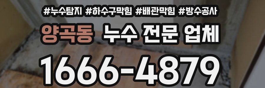 양곡동 누수 전문 업체