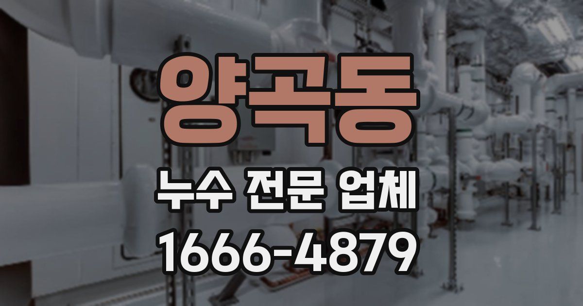 양곡동 누수 전문 업체