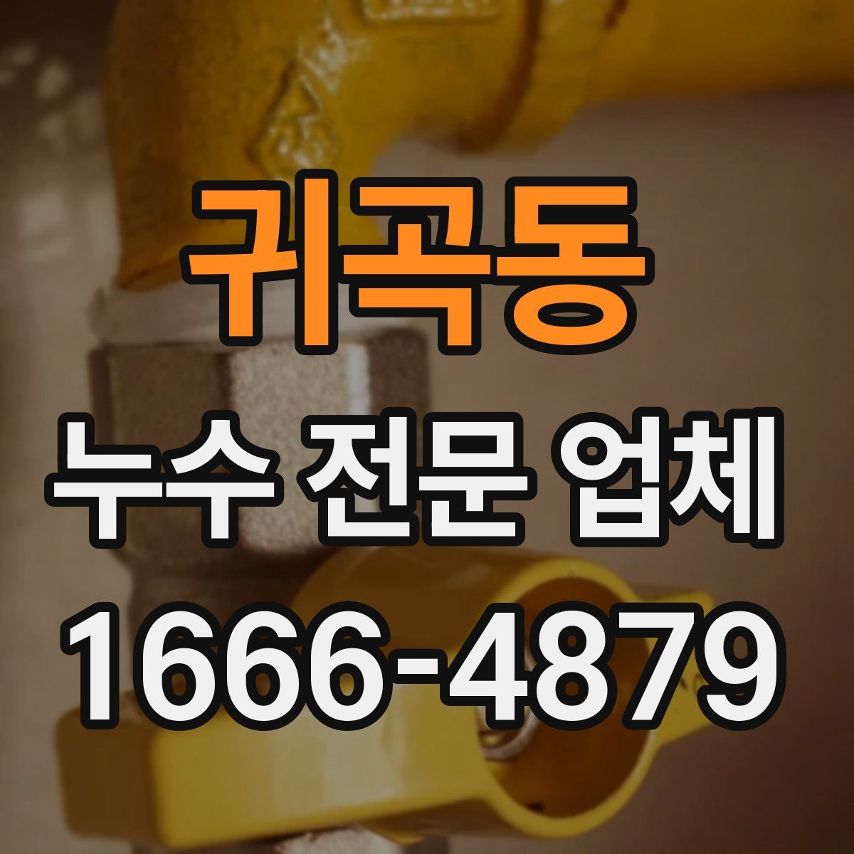 귀곡동 누수 전문 업체