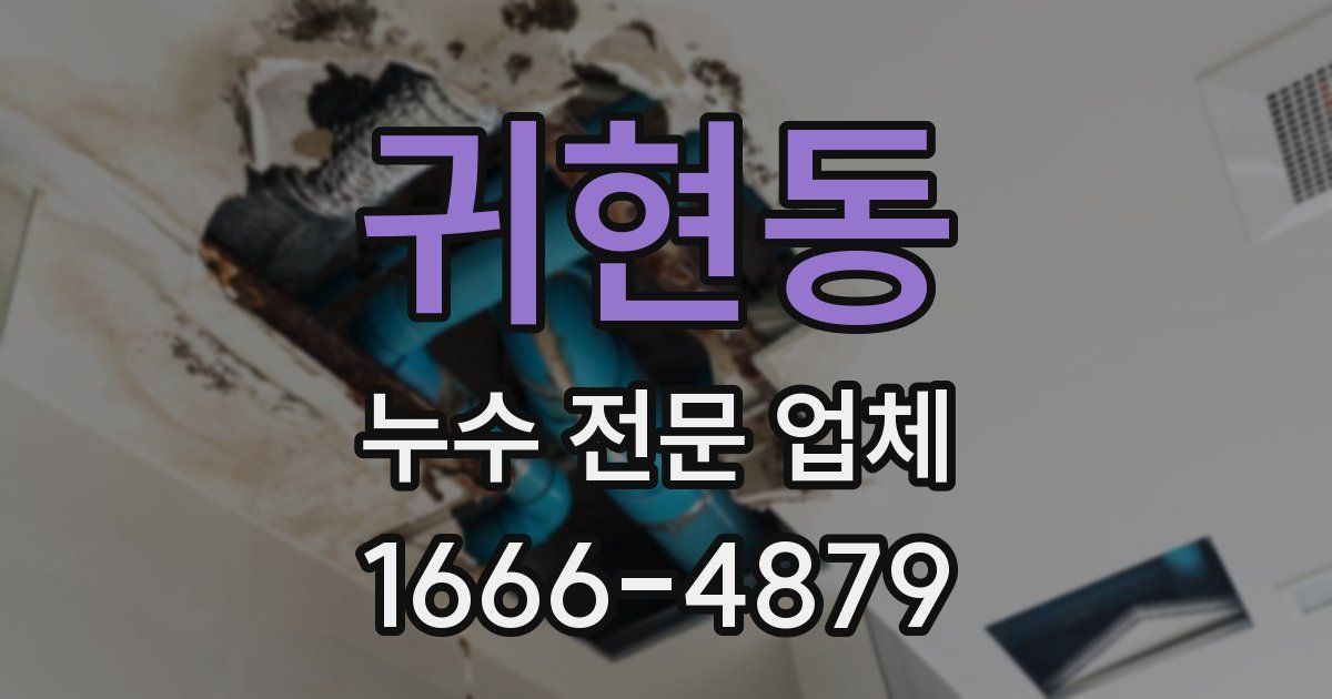 귀현동 누수 전문 업체