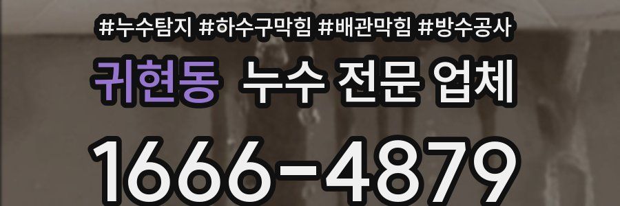 귀현동 누수 전문 업체