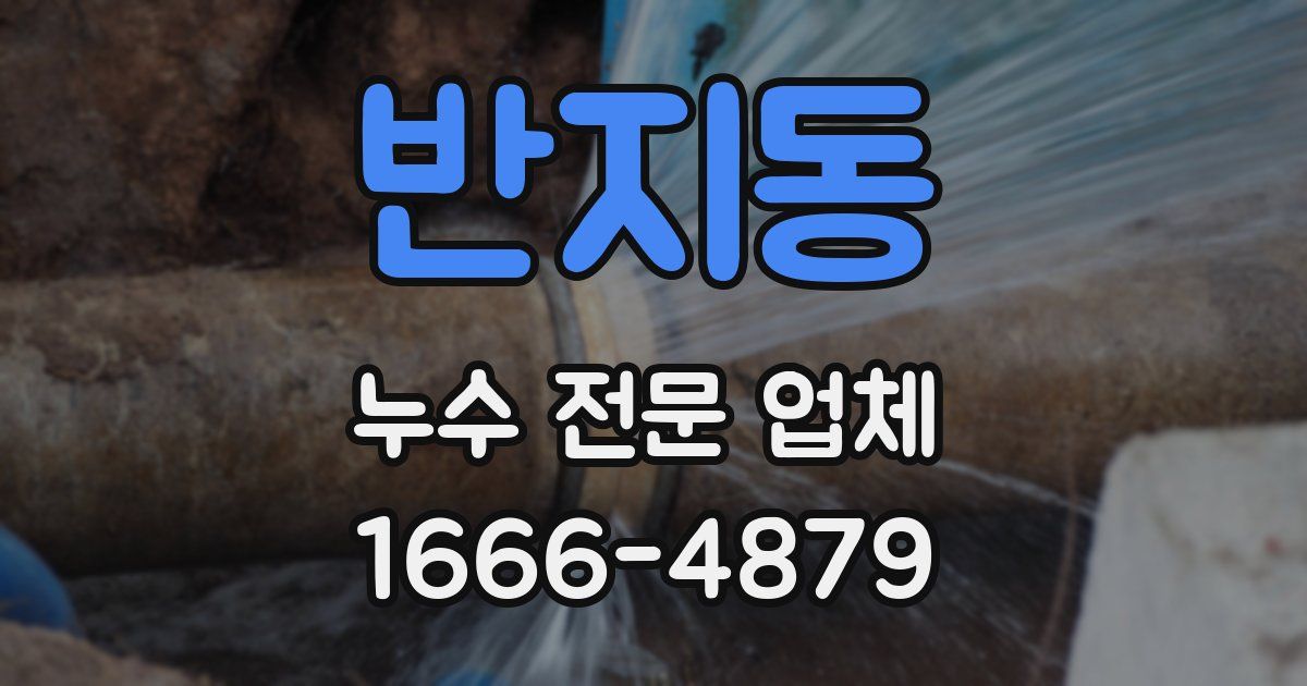 반지동 누수 전문 업체