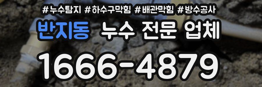 반지동 누수 전문 업체