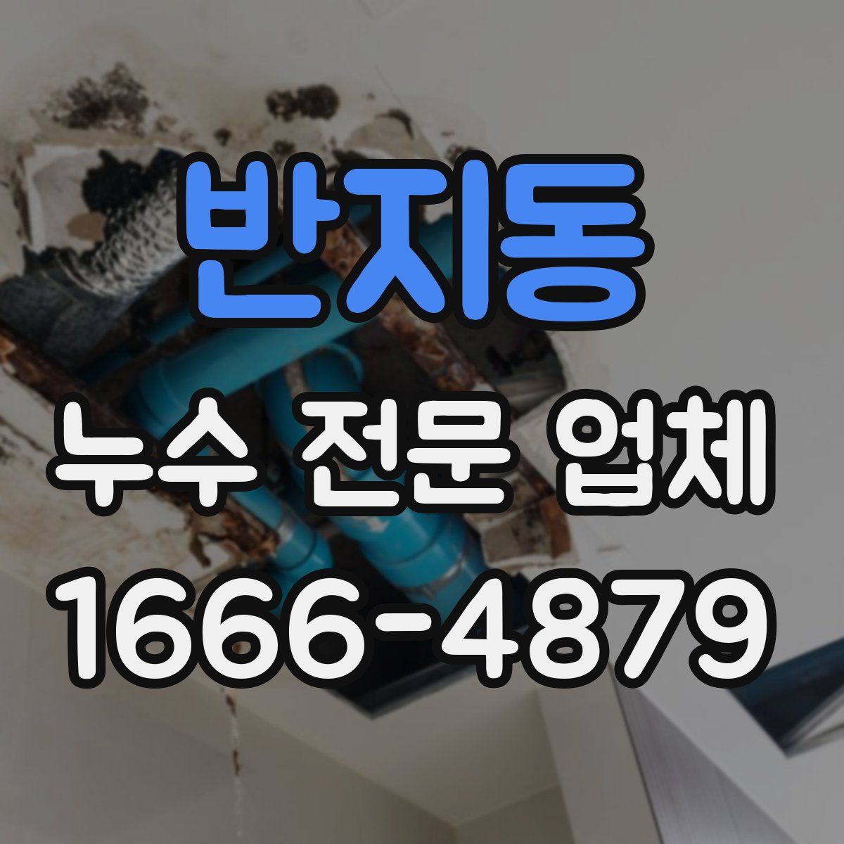 반지동 누수 전문 업체