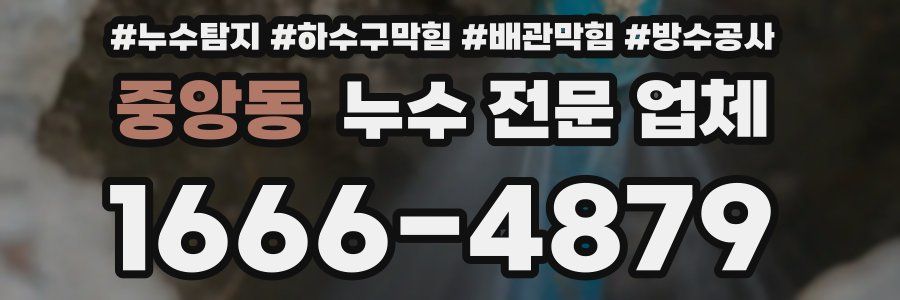 중앙동 누수 전문 업체