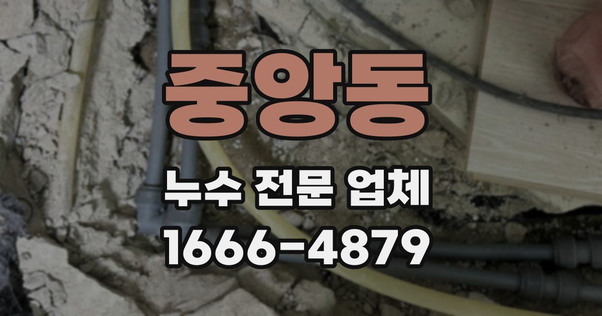 중앙동 누수 전문 업체