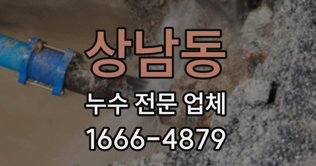 상남동 누수 전문 업체