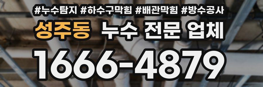 성주동 누수 전문 업체