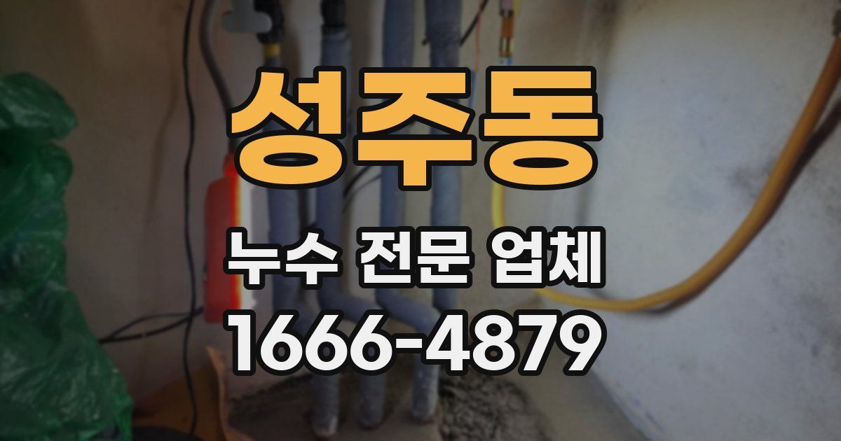 성주동 누수 전문 업체