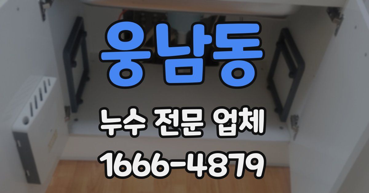 웅남동 누수 전문 업체