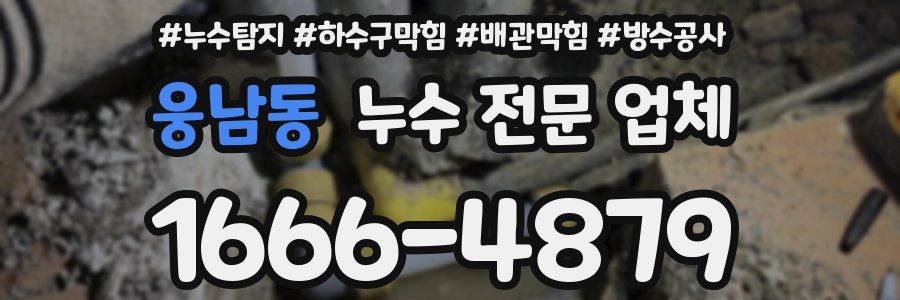 웅남동 누수 전문 업체
