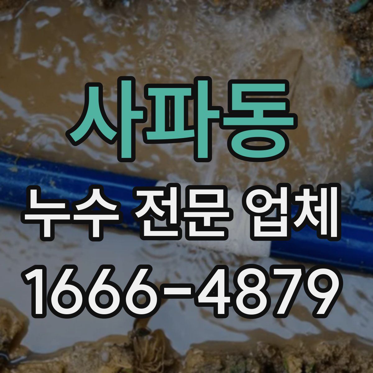 사파동 누수 전문 업체
